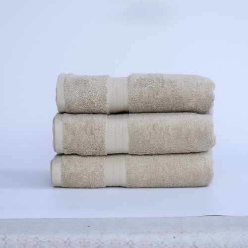 Vase plant decoratin interior of livingroom - Vintage light Filter